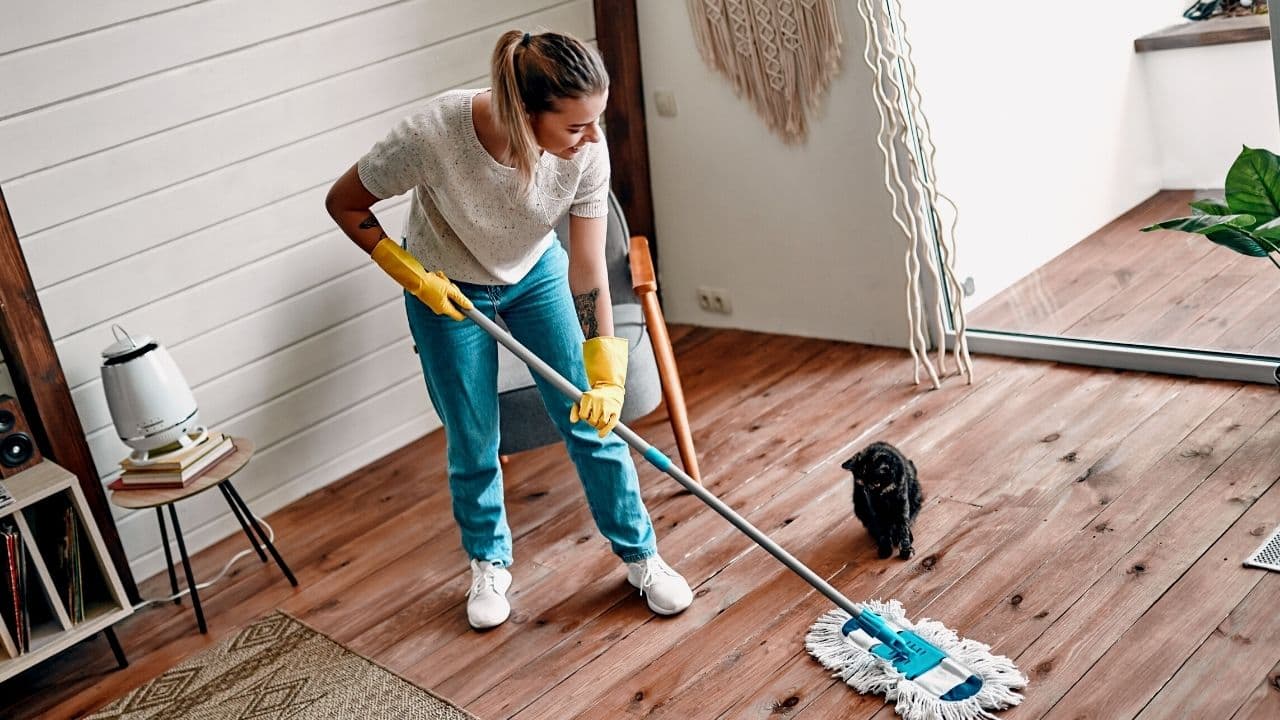 DISE Cleaning mit professionellen Reinigungsleistungen für Unternehmen